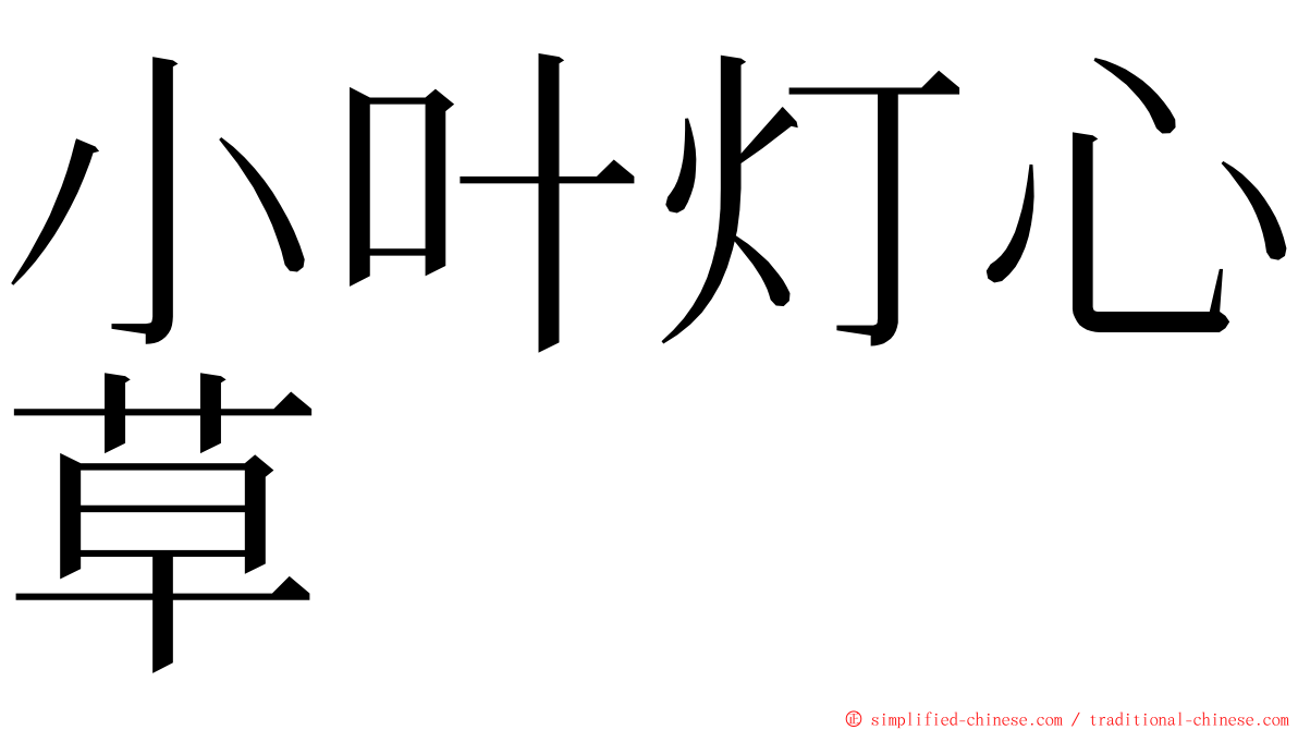 小叶灯心草 ming font