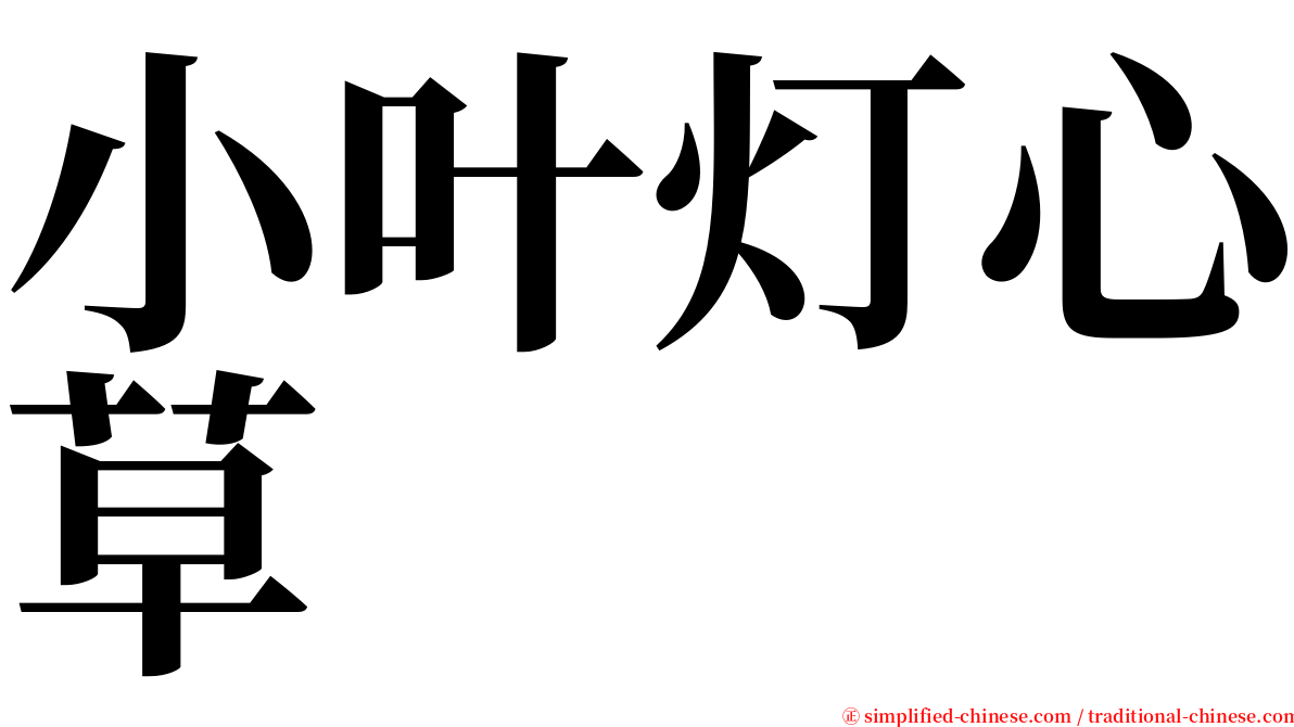 小叶灯心草 serif font