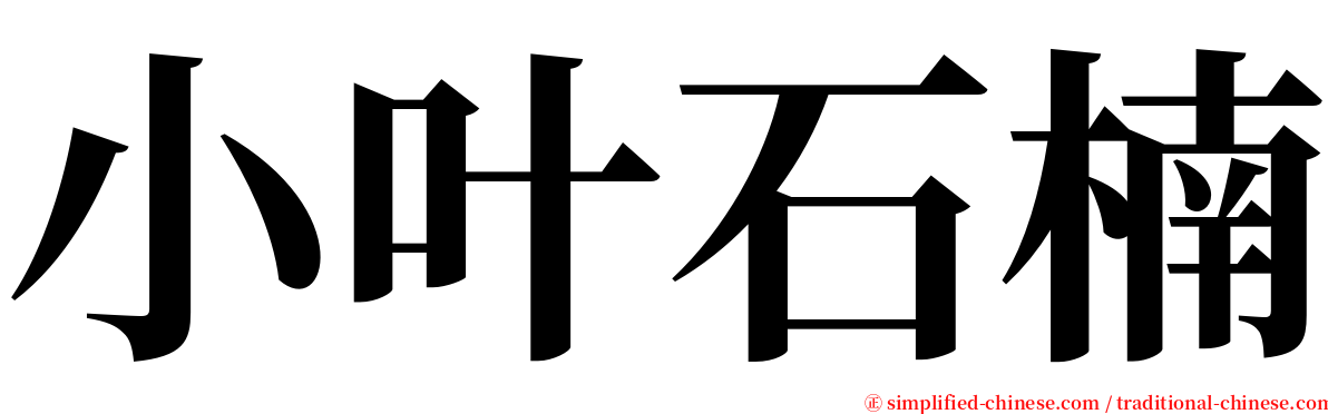 小叶石楠 serif font