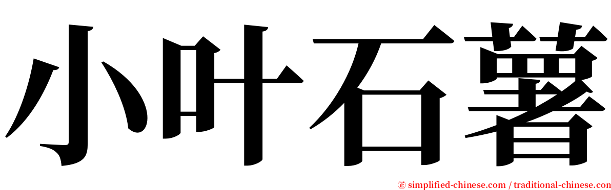 小叶石薯 serif font