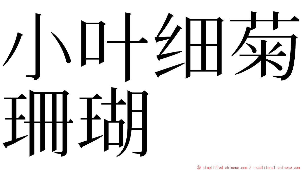 小叶细菊珊瑚 ming font