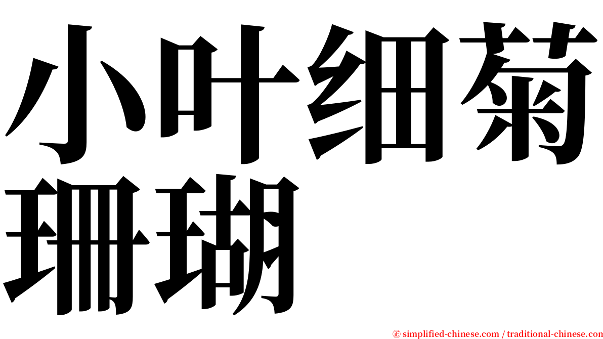 小叶细菊珊瑚 serif font