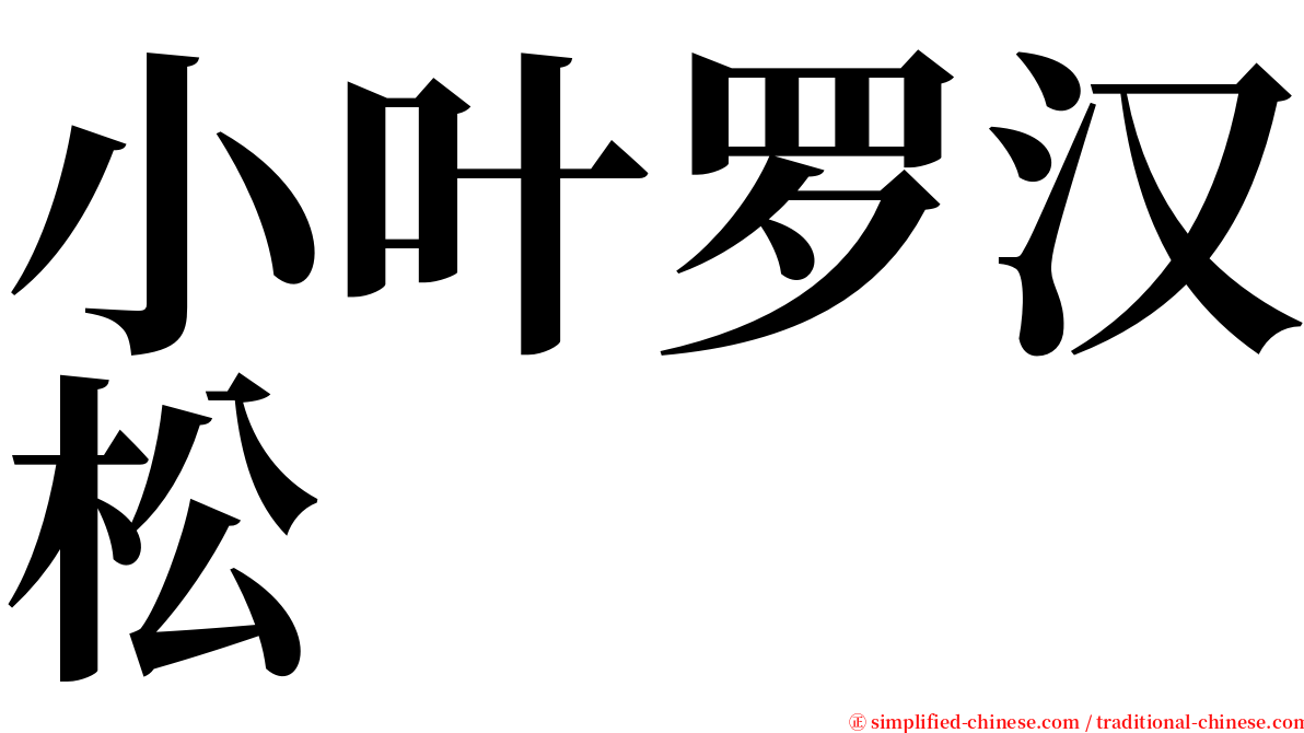 小叶罗汉松 serif font