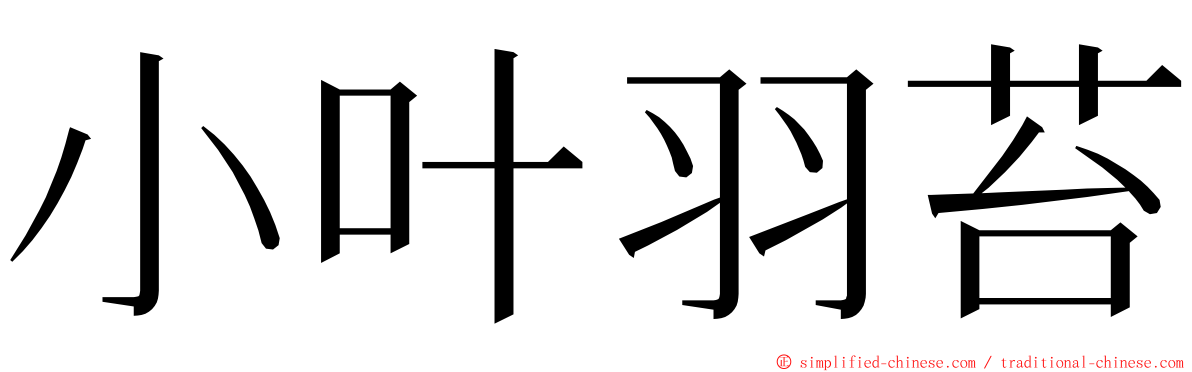 小叶羽苔 ming font