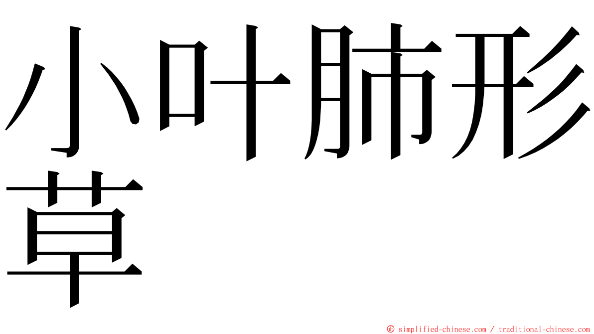 小叶肺形草 ming font