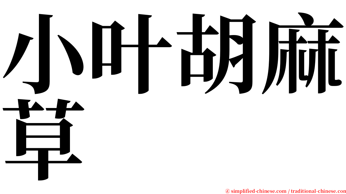 小叶胡麻草 serif font