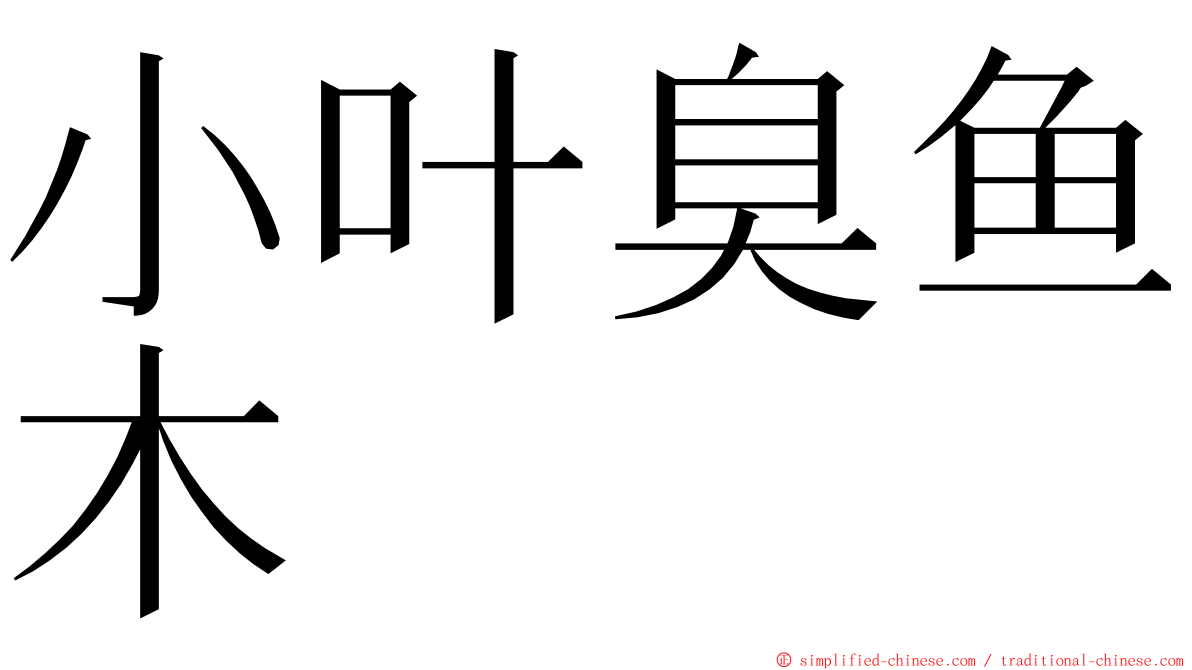 小叶臭鱼木 ming font