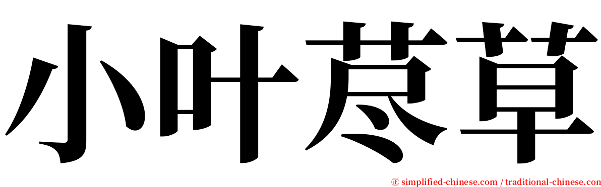 小叶荩草 serif font