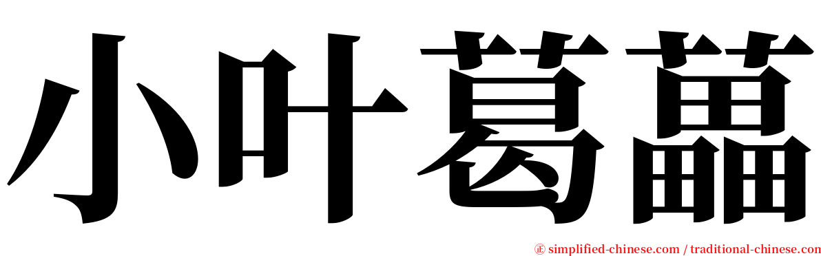 小叶葛藟 serif font