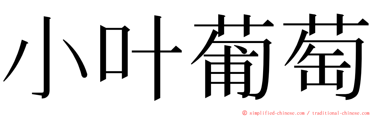 小叶葡萄 ming font