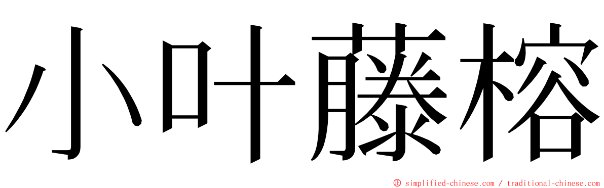 小叶藤榕 ming font