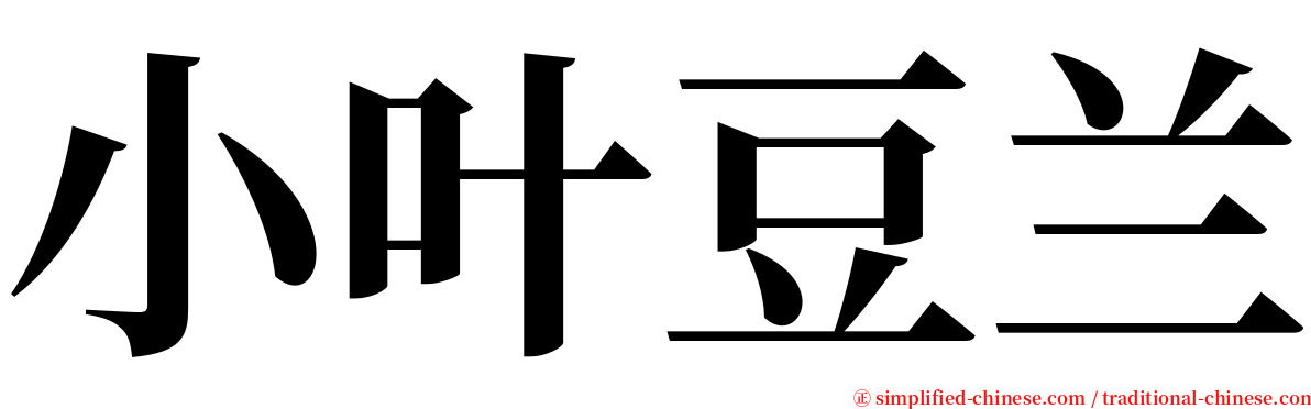 小叶豆兰 serif font