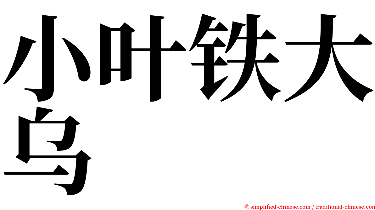 小叶铁大乌 serif font