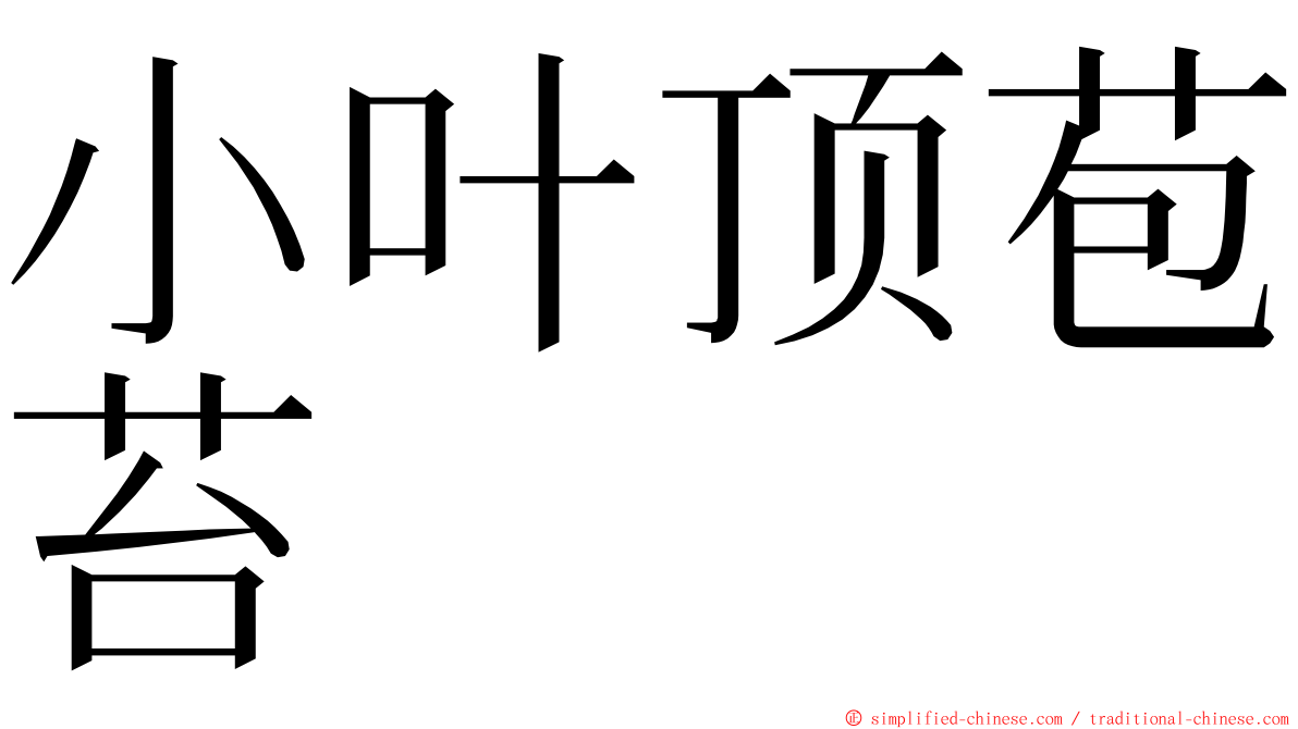 小叶顶苞苔 ming font