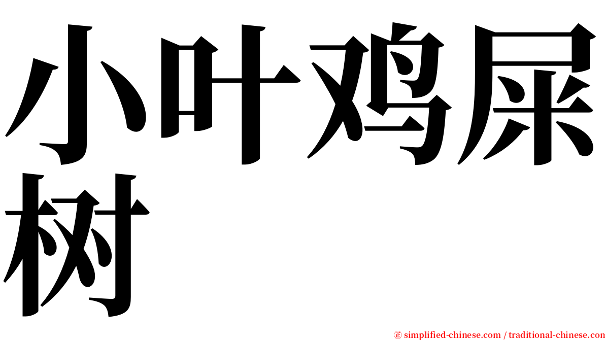 小叶鸡屎树 serif font