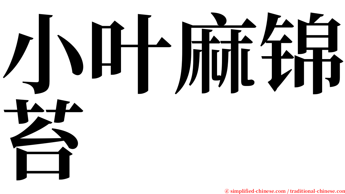 小叶麻锦苔 serif font