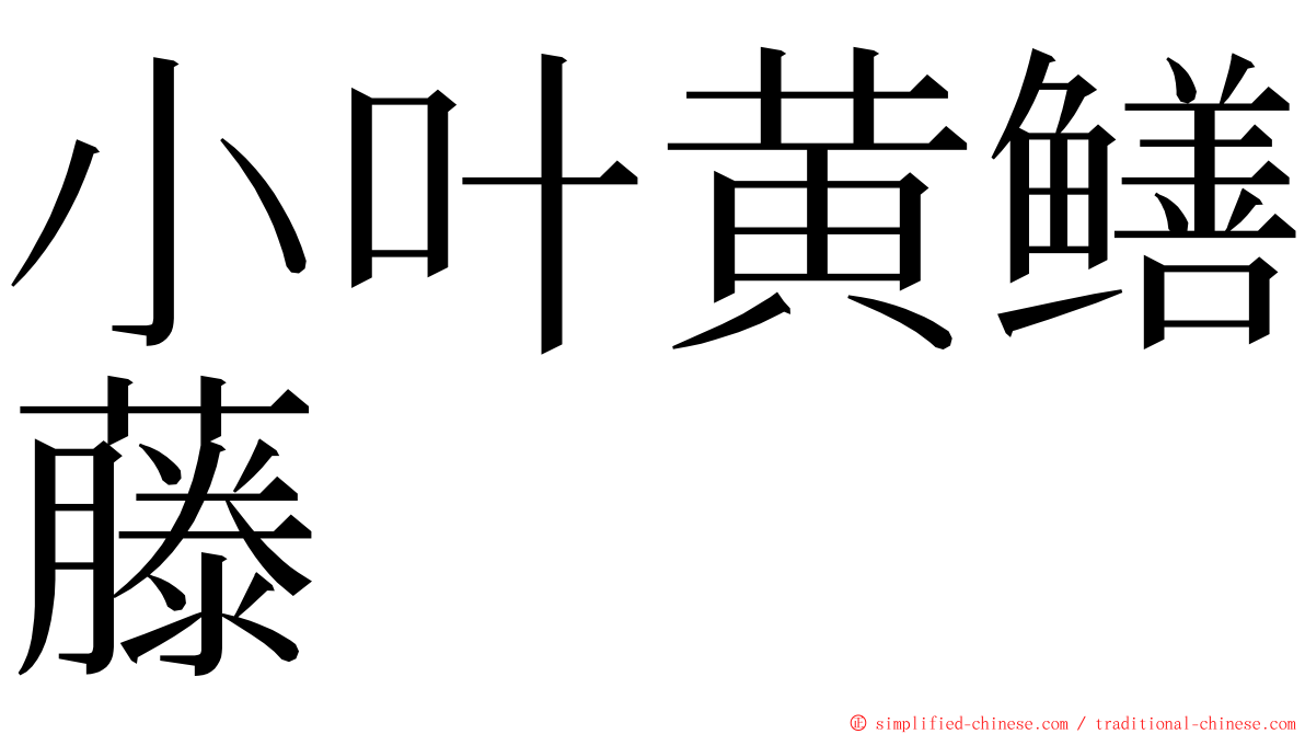 小叶黄鳝藤 ming font