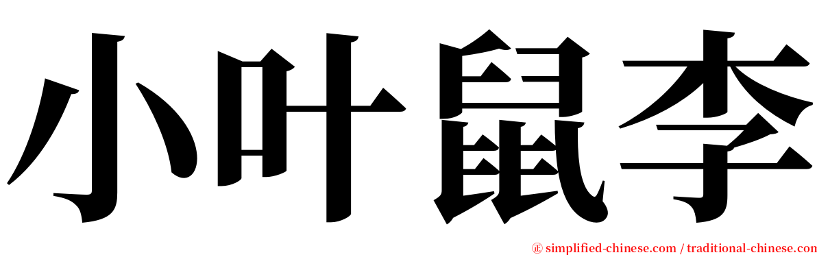 小叶鼠李 serif font