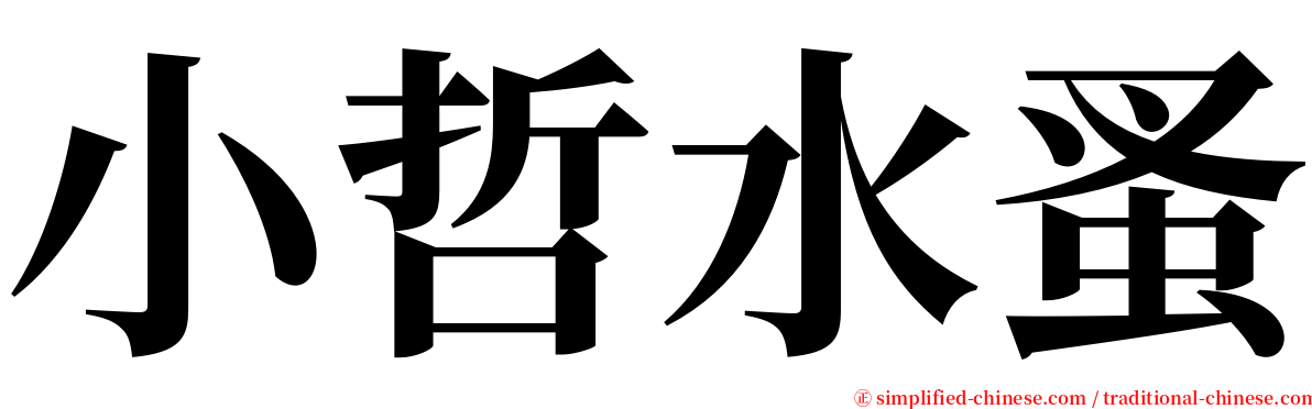 小哲水蚤 serif font