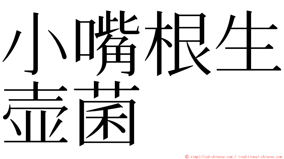 小嘴根生壶菌 ming font