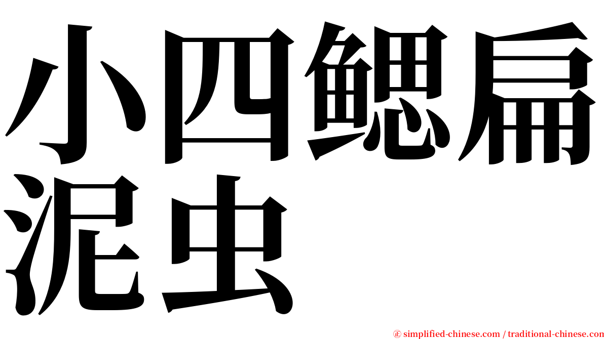 小四鳃扁泥虫 serif font