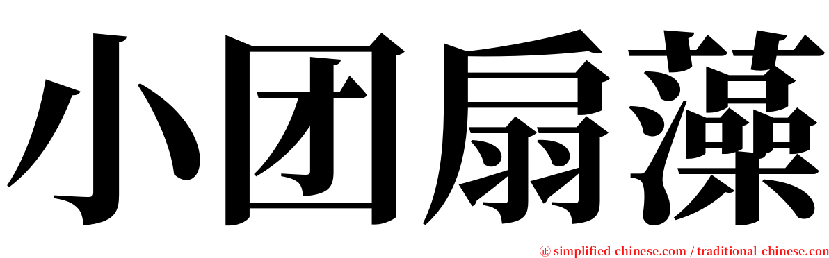 小团扇藻 serif font