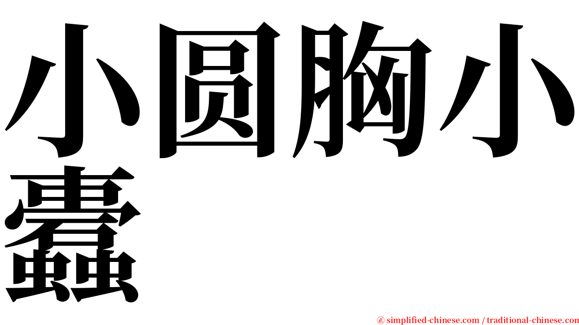 小圆胸小蠹 serif font