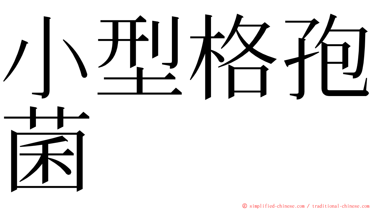 小型格孢菌 ming font