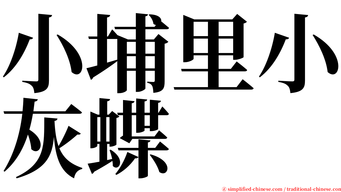 小埔里小灰蝶 serif font