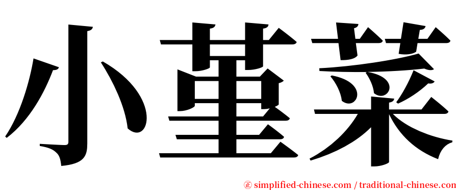 小堇菜 serif font