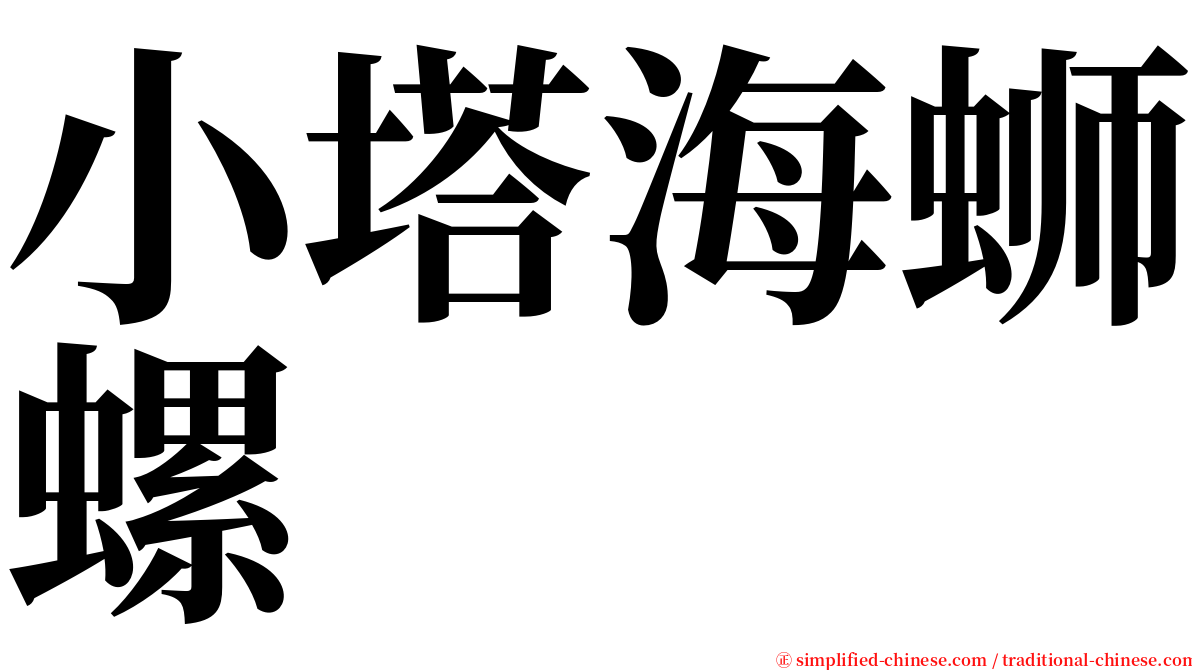 小塔海蛳螺 serif font