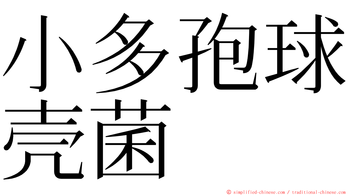 小多孢球壳菌 ming font