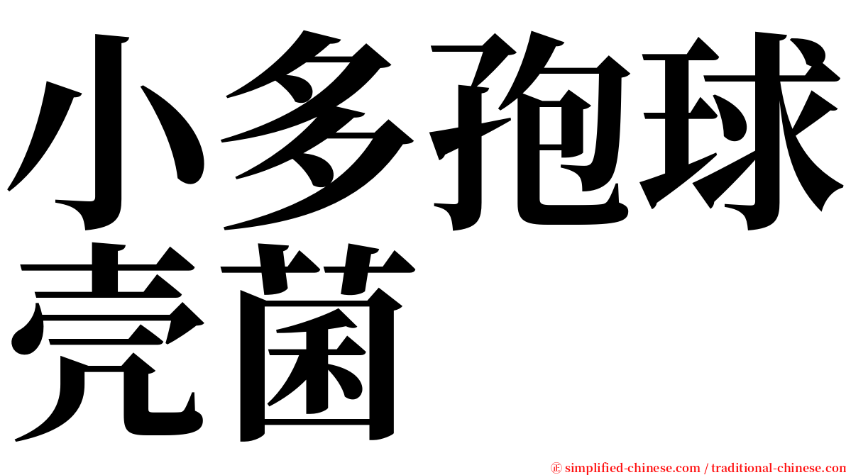 小多孢球壳菌 serif font