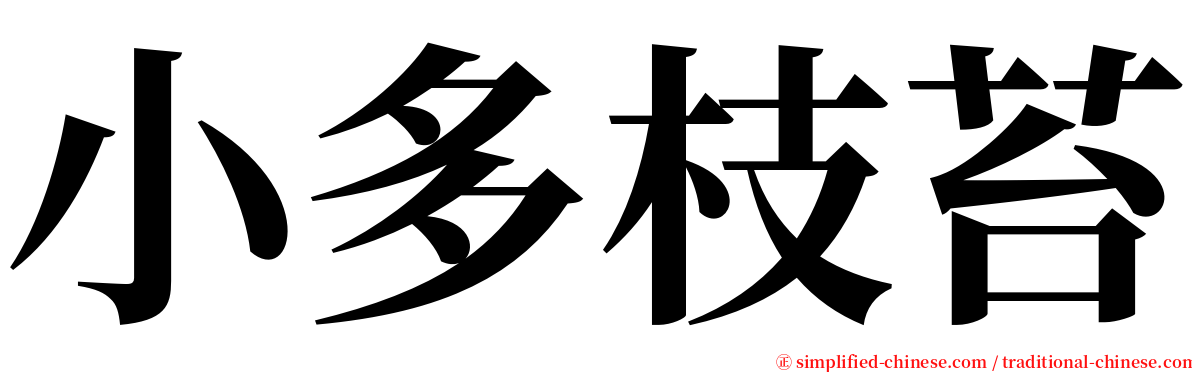 小多枝苔 serif font