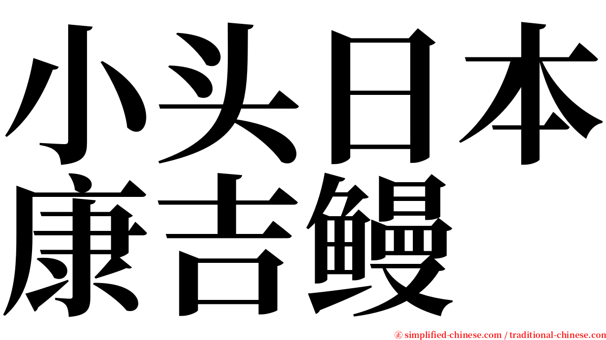 小头日本康吉鳗 serif font