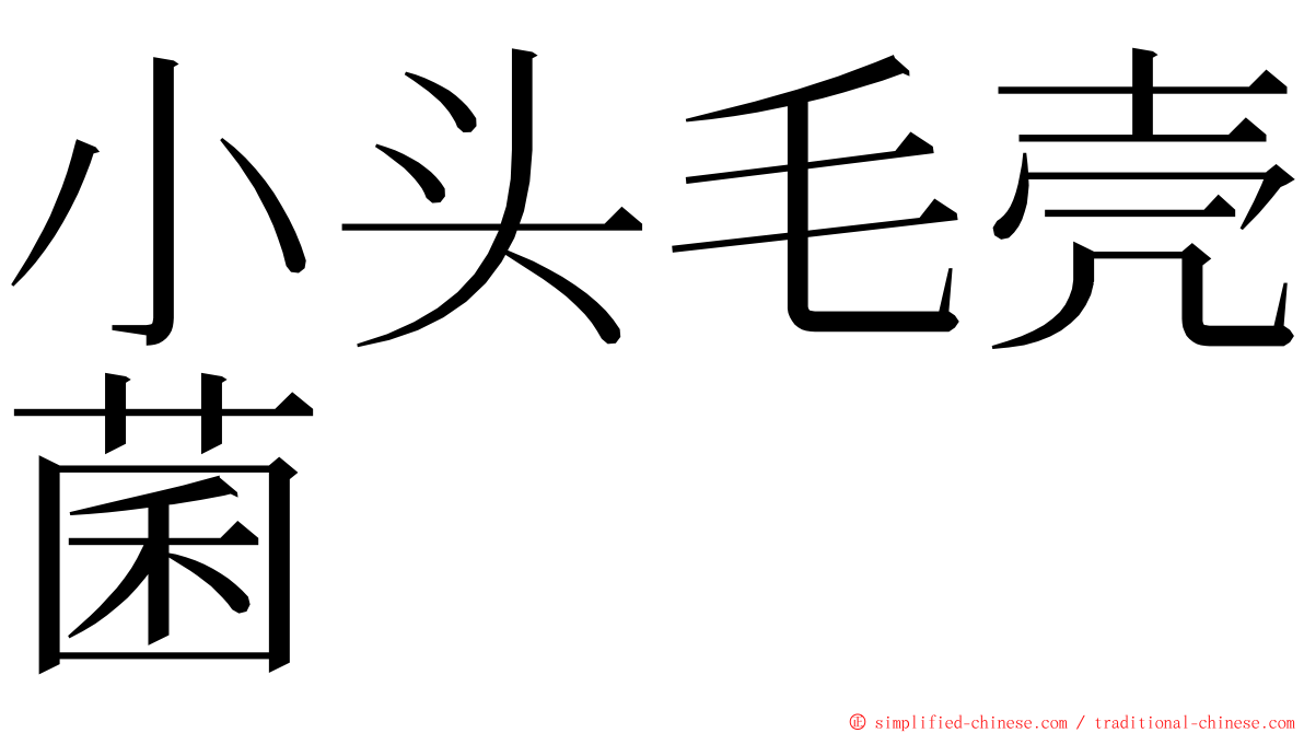 小头毛壳菌 ming font