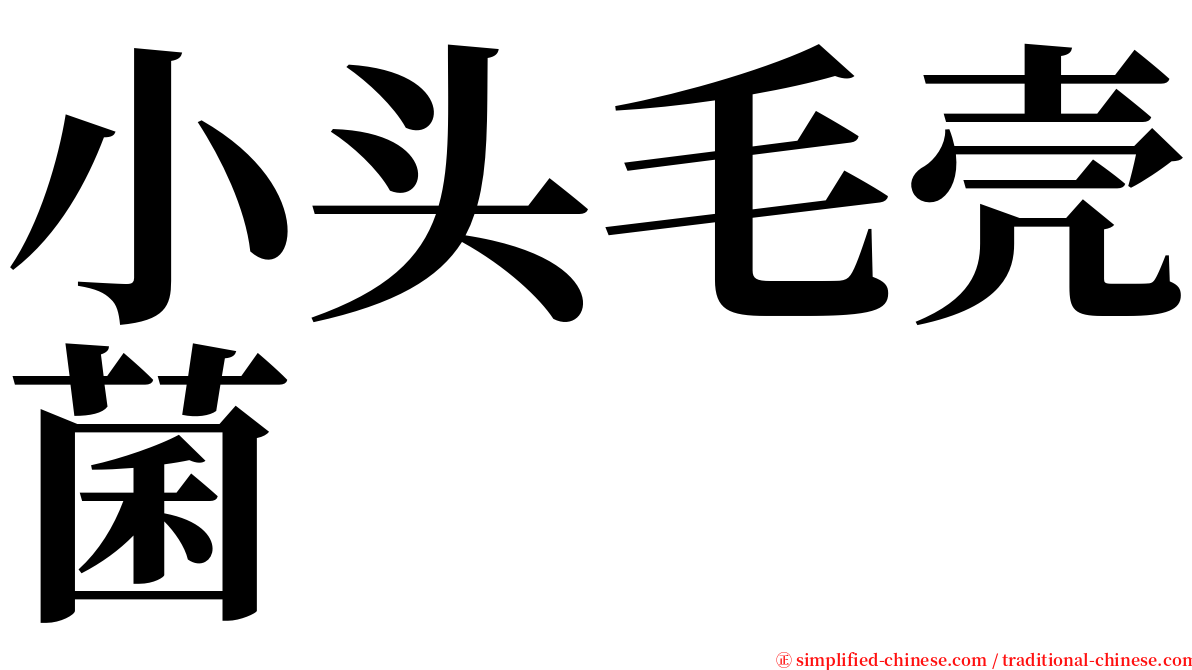 小头毛壳菌 serif font