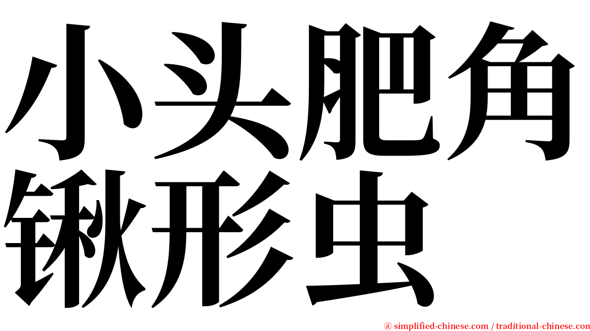 小头肥角锹形虫 serif font