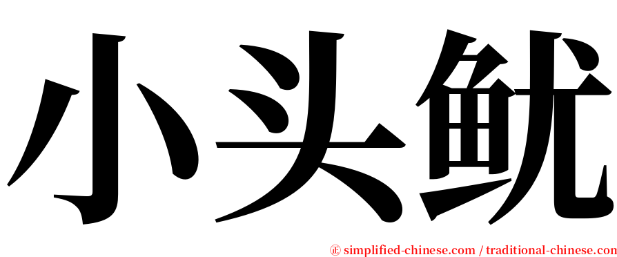 小头鱿 serif font