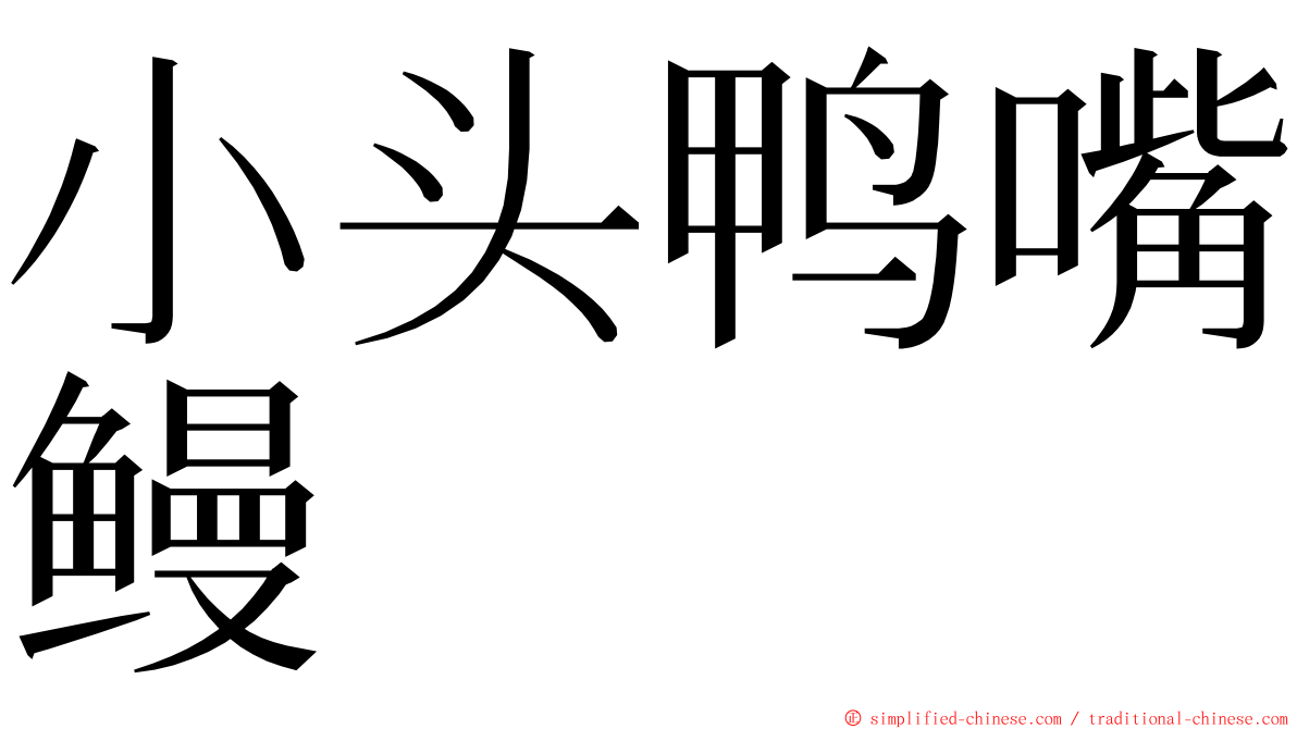 小头鸭嘴鳗 ming font