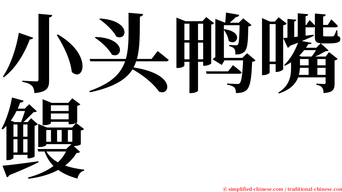 小头鸭嘴鳗 serif font