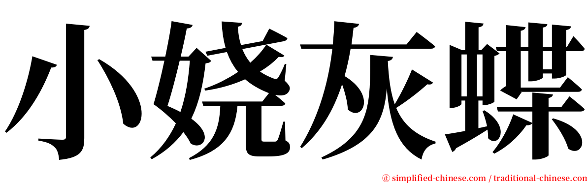 小娆灰蝶 serif font