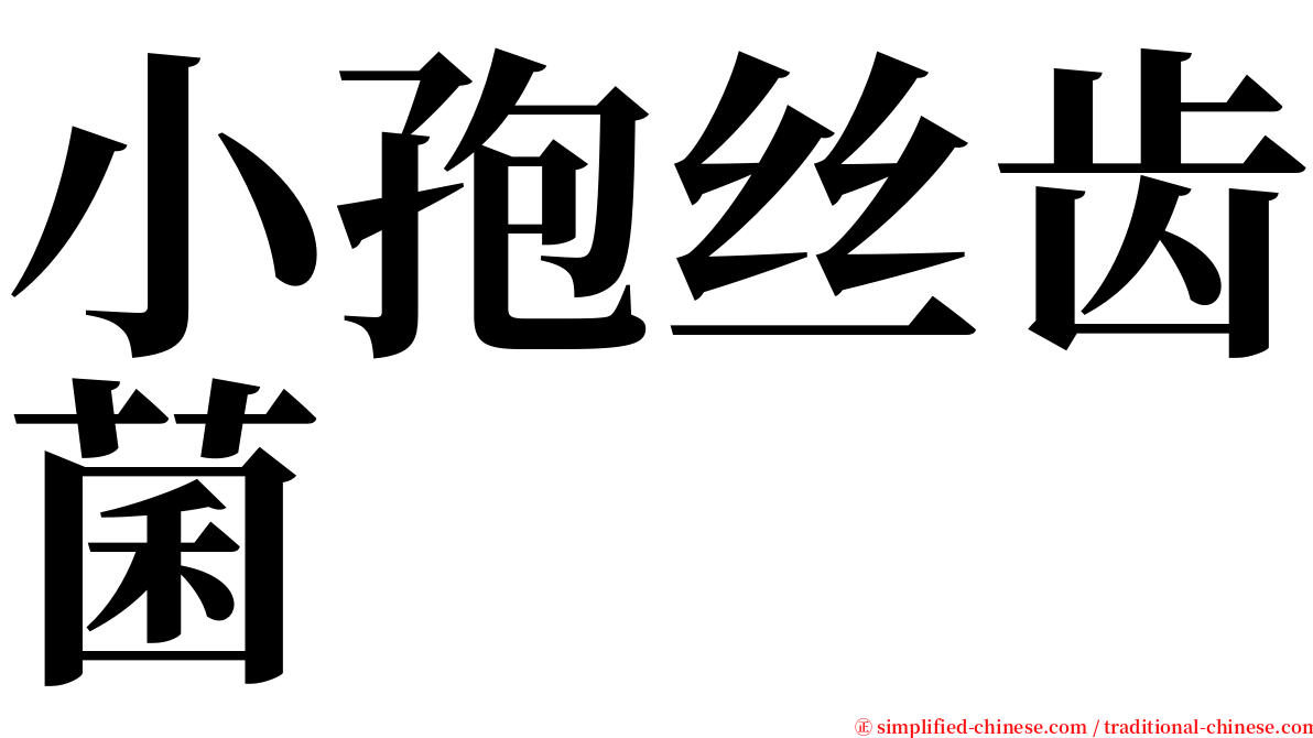 小孢丝齿菌 serif font