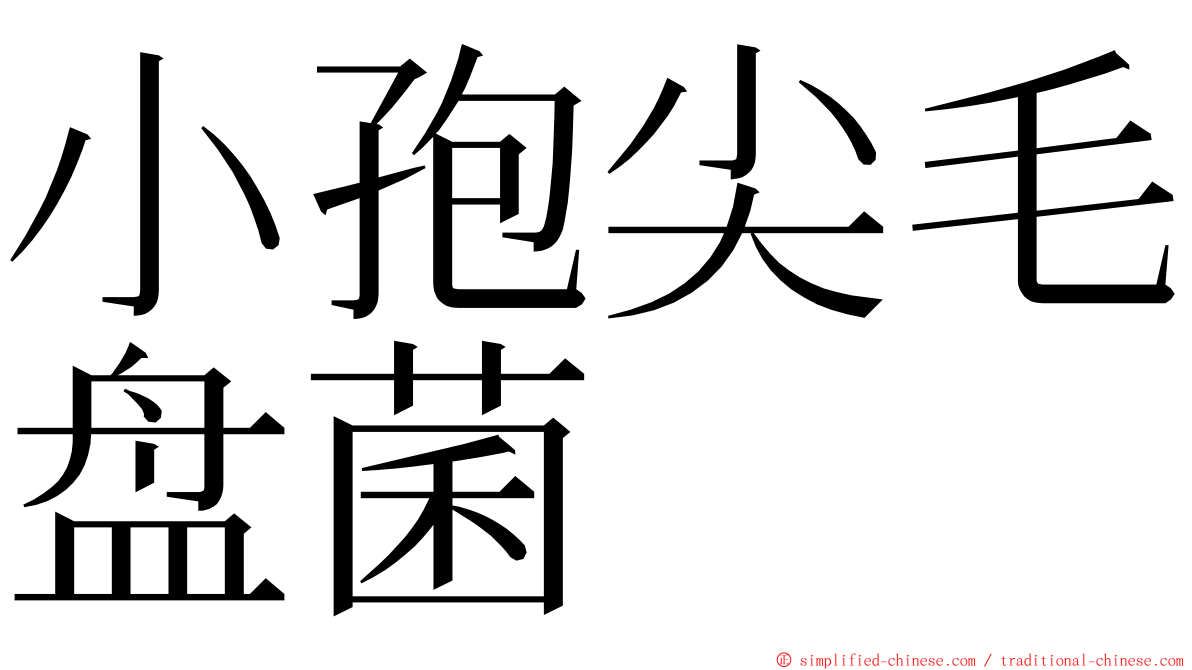 小孢尖毛盘菌 ming font