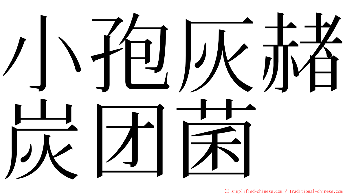 小孢灰赭炭团菌 ming font