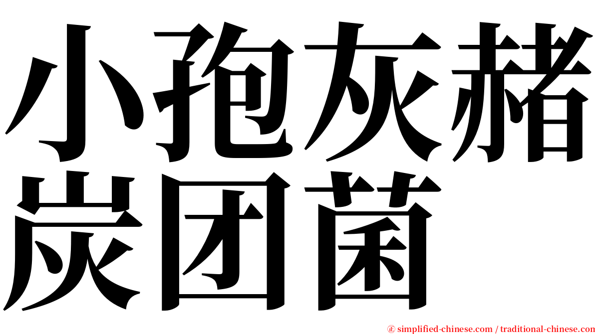 小孢灰赭炭团菌 serif font