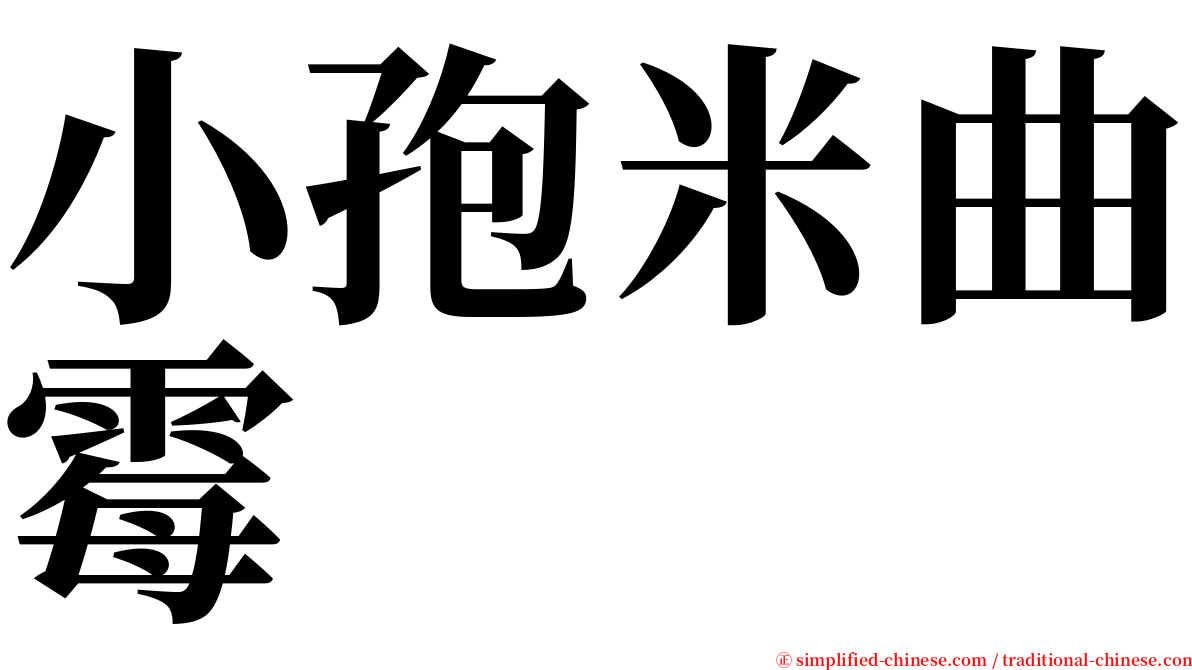 小孢米曲霉 serif font