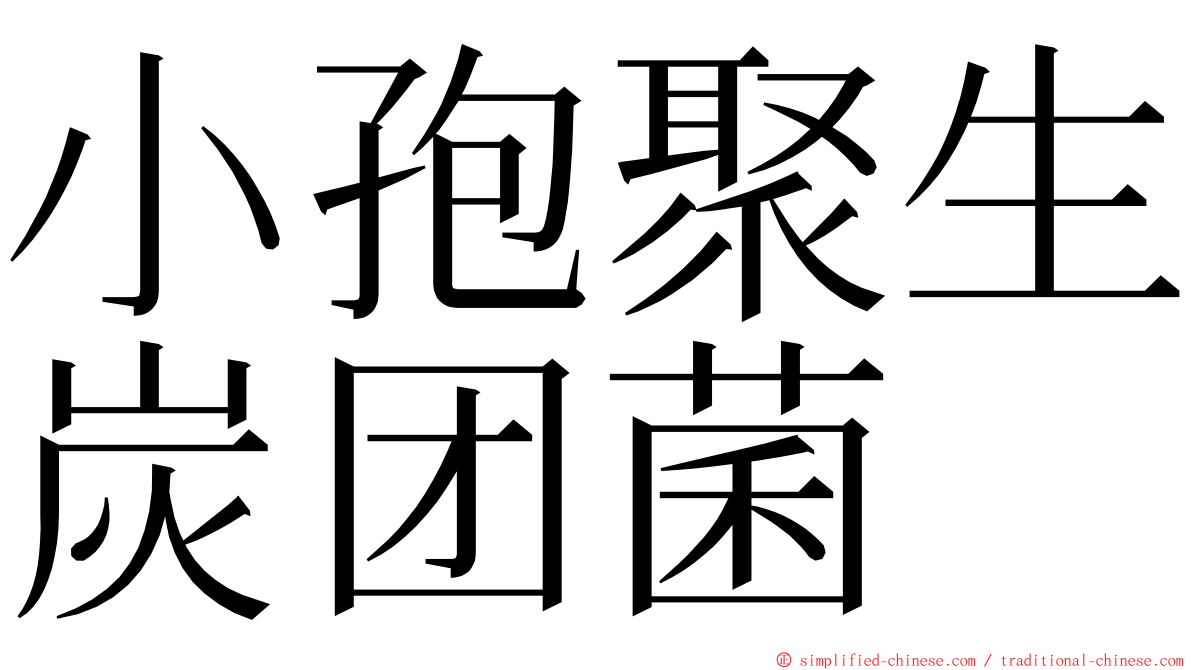 小孢聚生炭团菌 ming font