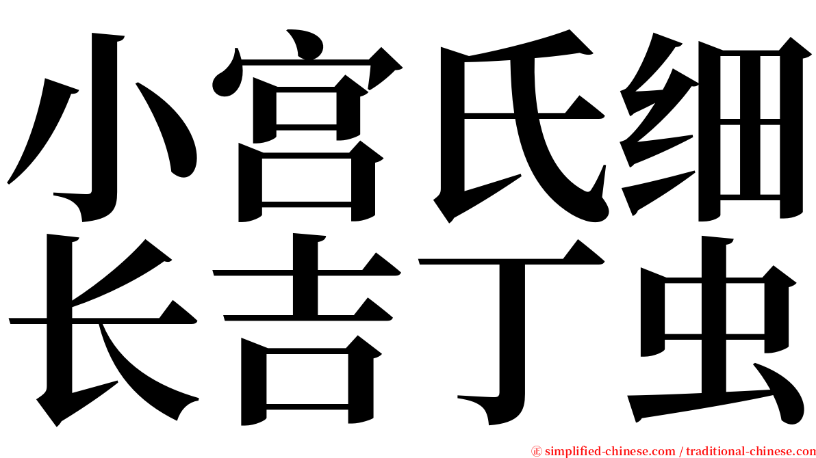 小宫氏细长吉丁虫 serif font