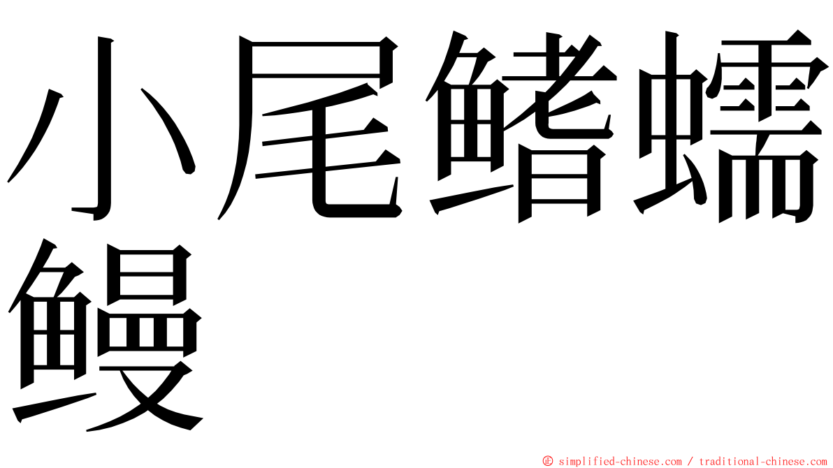 小尾鳍蠕鳗 ming font